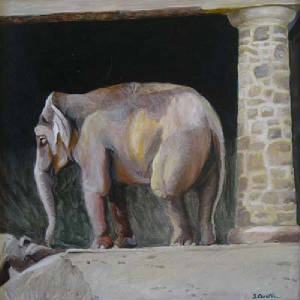 Zoo_Elephant1.jpg