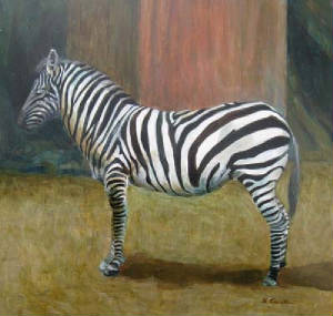 Zoo_Zebra.jpg